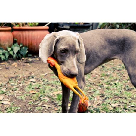 Lanco Pets - Hračka pro psy - Pískací kuře midi